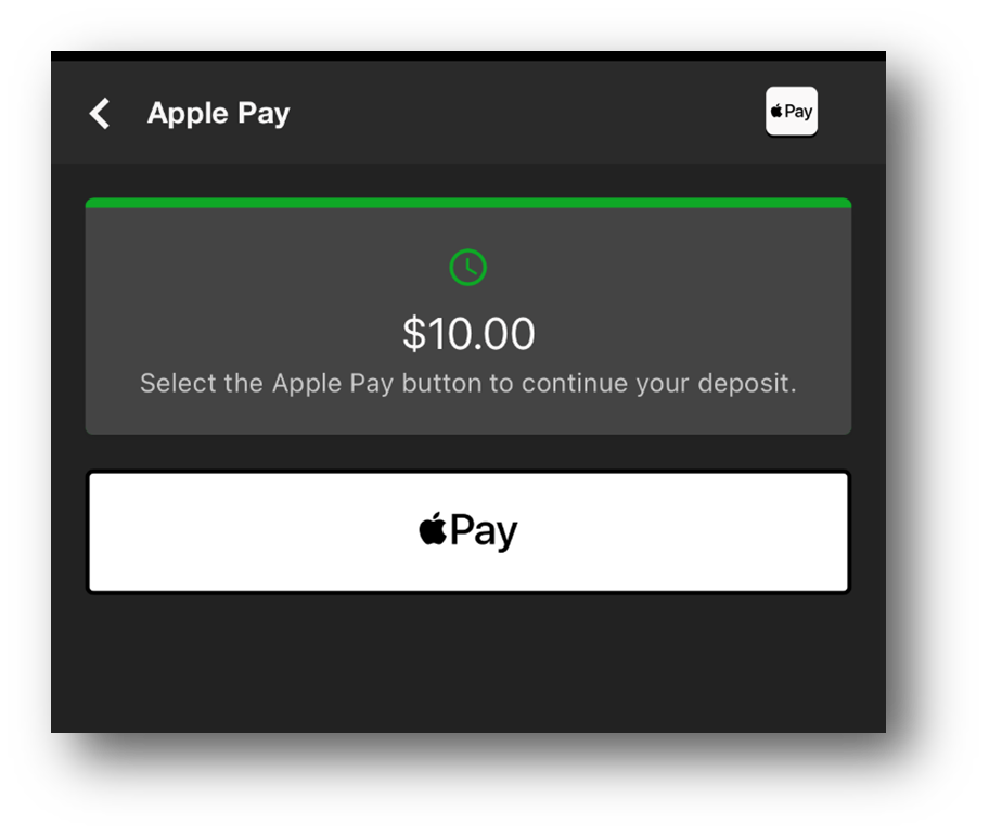apple pay 3.png